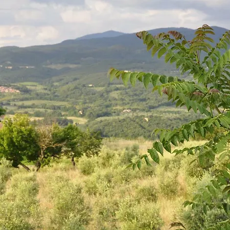 Apartman Rustic Tuscan